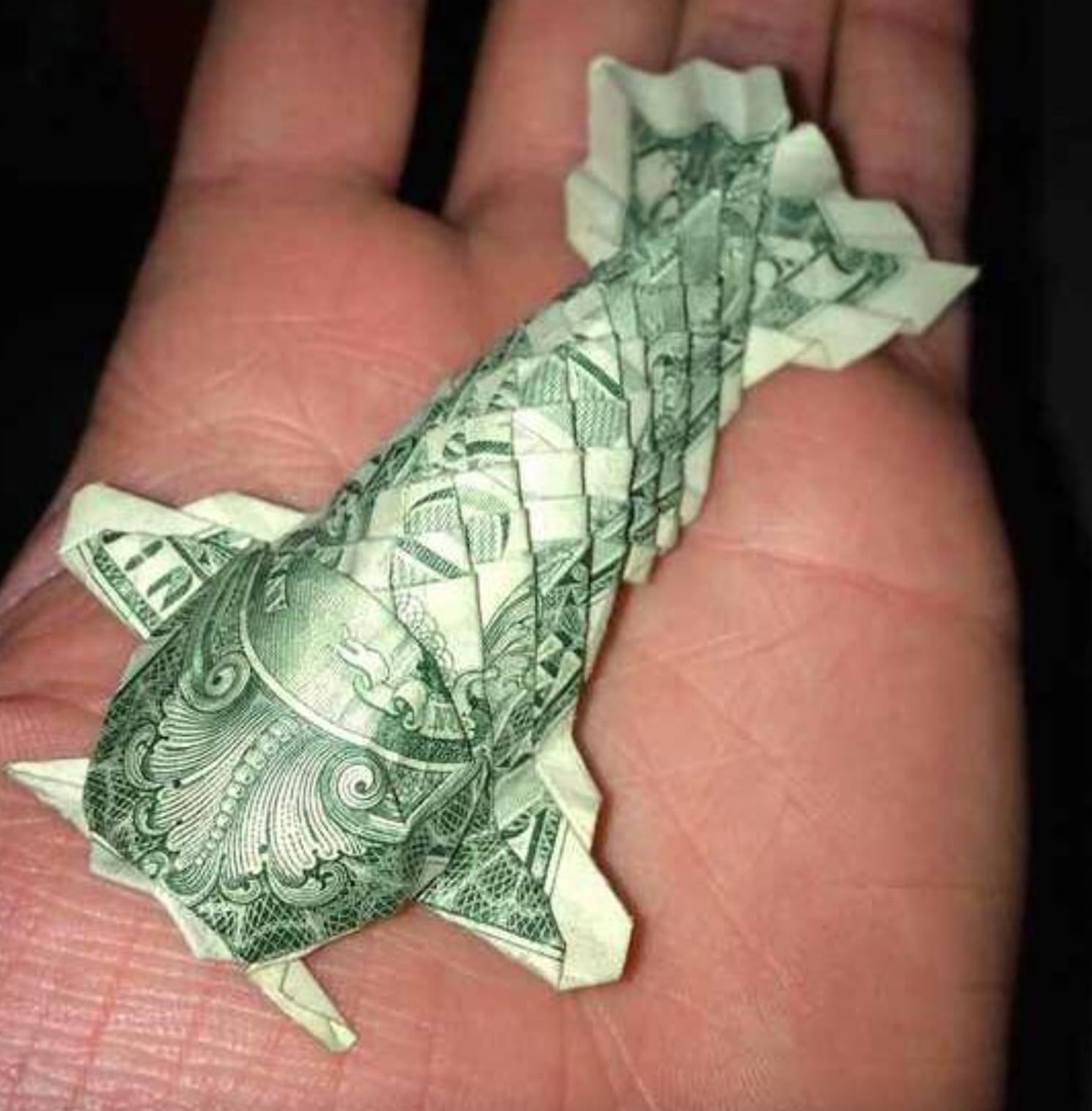 dollar origami koi fish - A